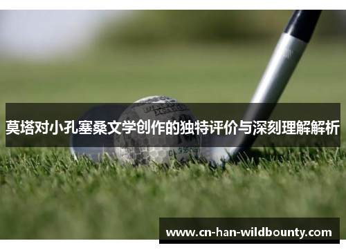 莫塔对小孔塞桑文学创作的独特评价与深刻理解解析 莫塔对小孔塞桑文学创作的独特评价与深刻理解解析