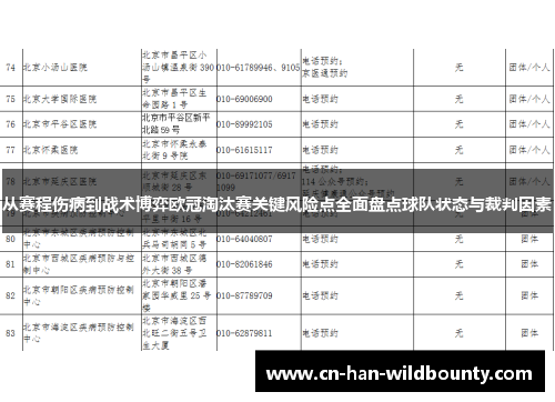 从赛程伤病到战术博弈欧冠淘汰赛关键风险点全面盘点球队状态与裁判因素
